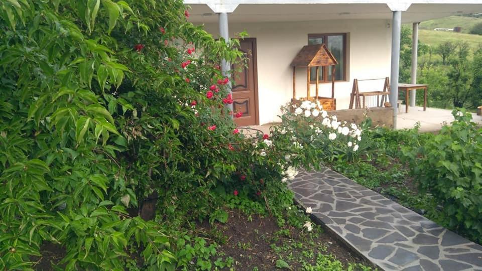אלוורדי Amoj B&B And Guest House מראה חיצוני תמונה